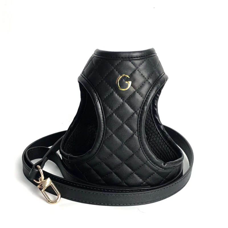 black designer harness leash set