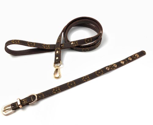 small dogs designer collar leash